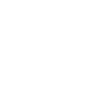 Design Guide and Principles